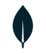 MongoDB