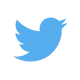 Twitter Filtered Stream logo
